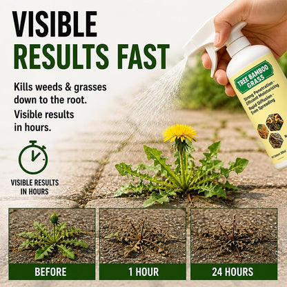 Fast-Acting Natural Weed & Grass Killer Spray